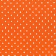 Pannolenci pois bianchi