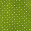 Pannolenci pois bianchi