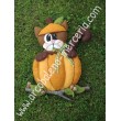 473 Zorro in zucca