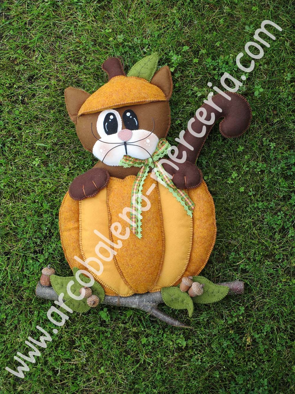 473 Zorro in zucca