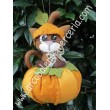 478 Zucchetta con gattino