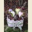522 Crocchi in fiore