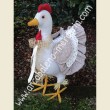 524 Carolina la gallina