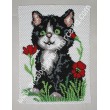 522 Gatto tra l'erbetta