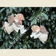 540 Caterina l'angiolina beige