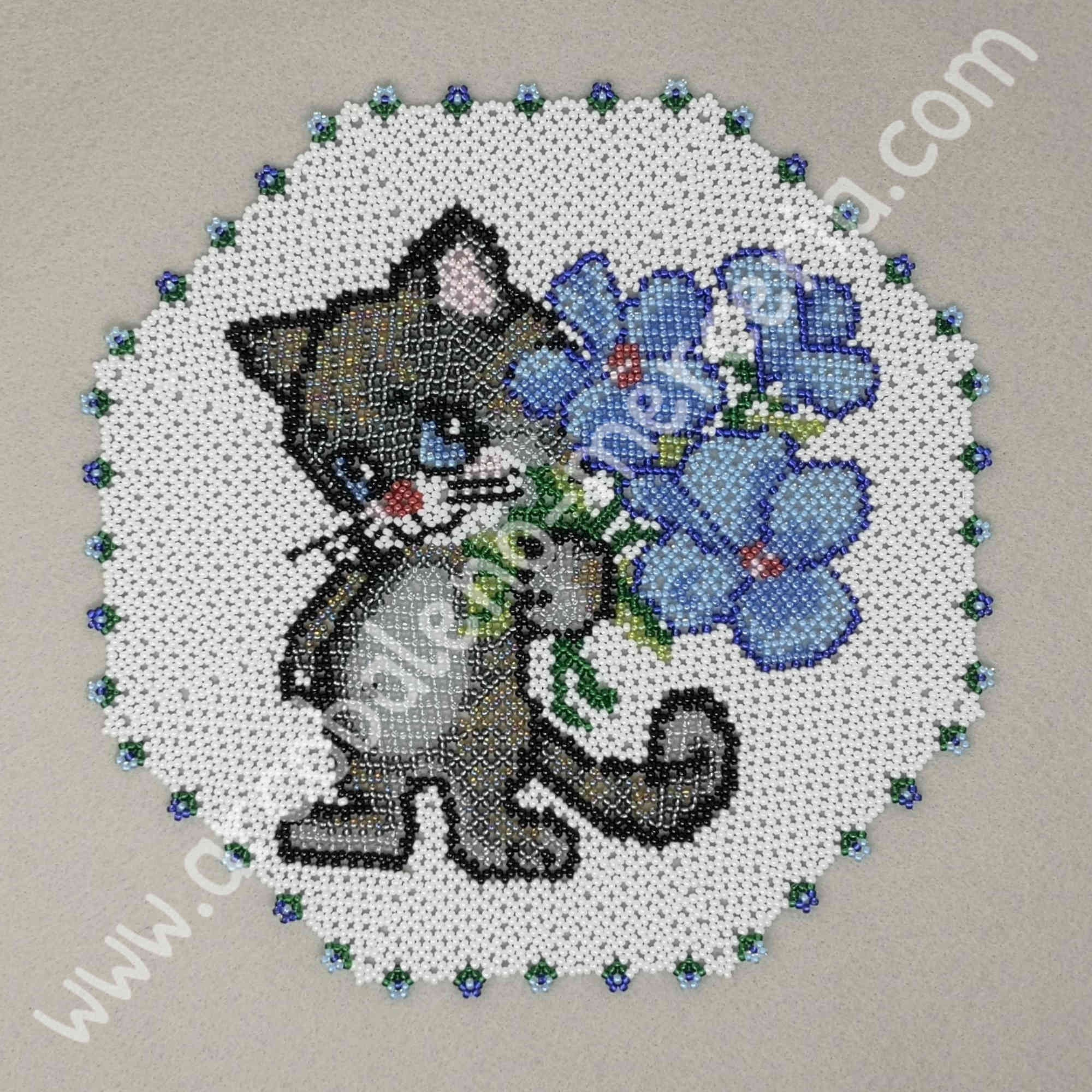 Micio con fiori