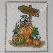 Zucca e zucchette