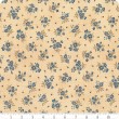 Maria's Sky - Moda fabrics