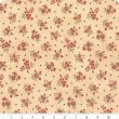 Maria's Sky - Moda fabrics
