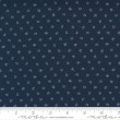 Regency Somerset Blue - Moda fabrics