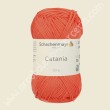 Cotone Catania
