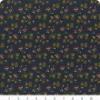 Maple Hill - Moda Fabrics