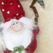 Fuori porta con gli gnometti Luigi e Alfonso