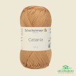 Cotone Catania