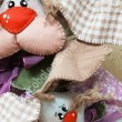 Coniglia Luigina e figlia