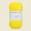 Cotone Catania