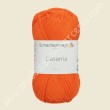 Cotone Catania