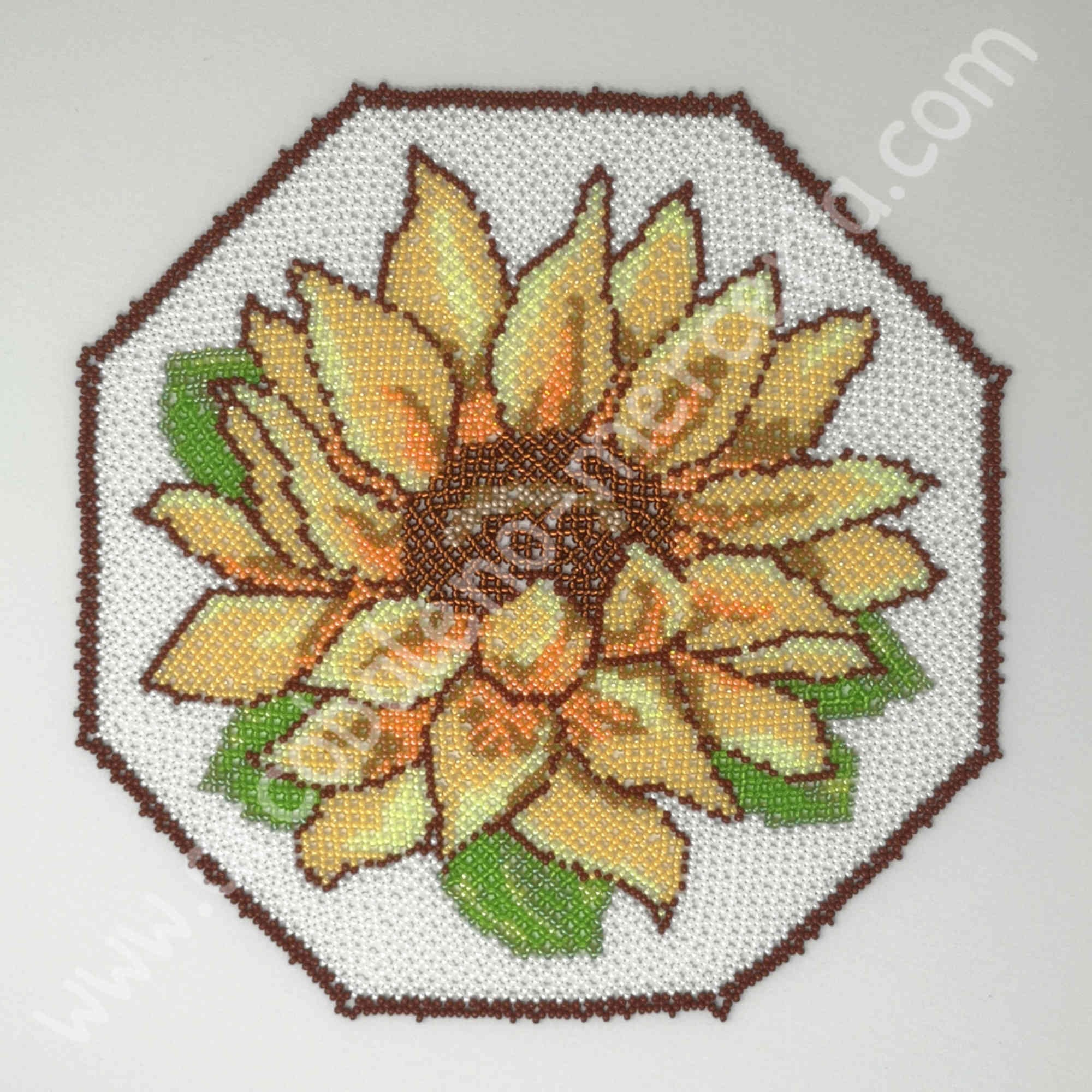 Il girasole