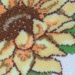 Il girasole