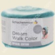 Dream Walk Color