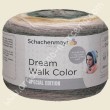 Dream Walk Color