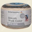 Dream Walk Color
