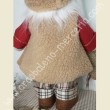 Babbo Natale nordico