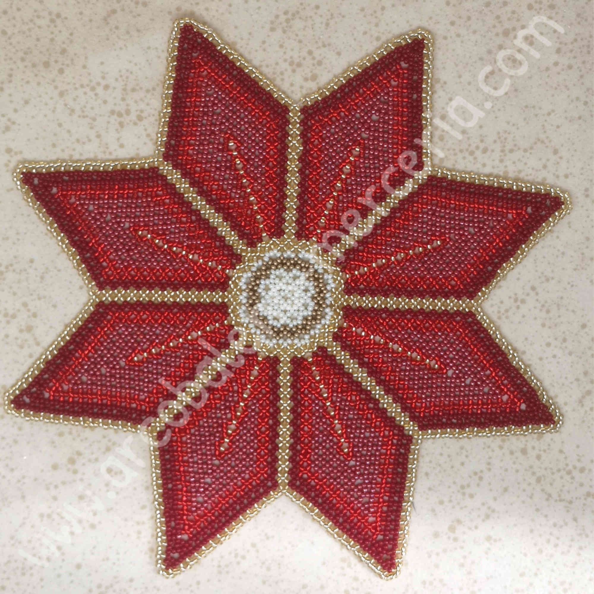 Stella di Natale
