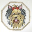 Il cagnolino Backye