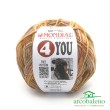 Mondial 4 you
