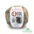 Mondial 4 you