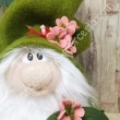 TERENSIO LO GNOMO DI PRIMAVERA