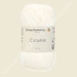 Cotone Catania