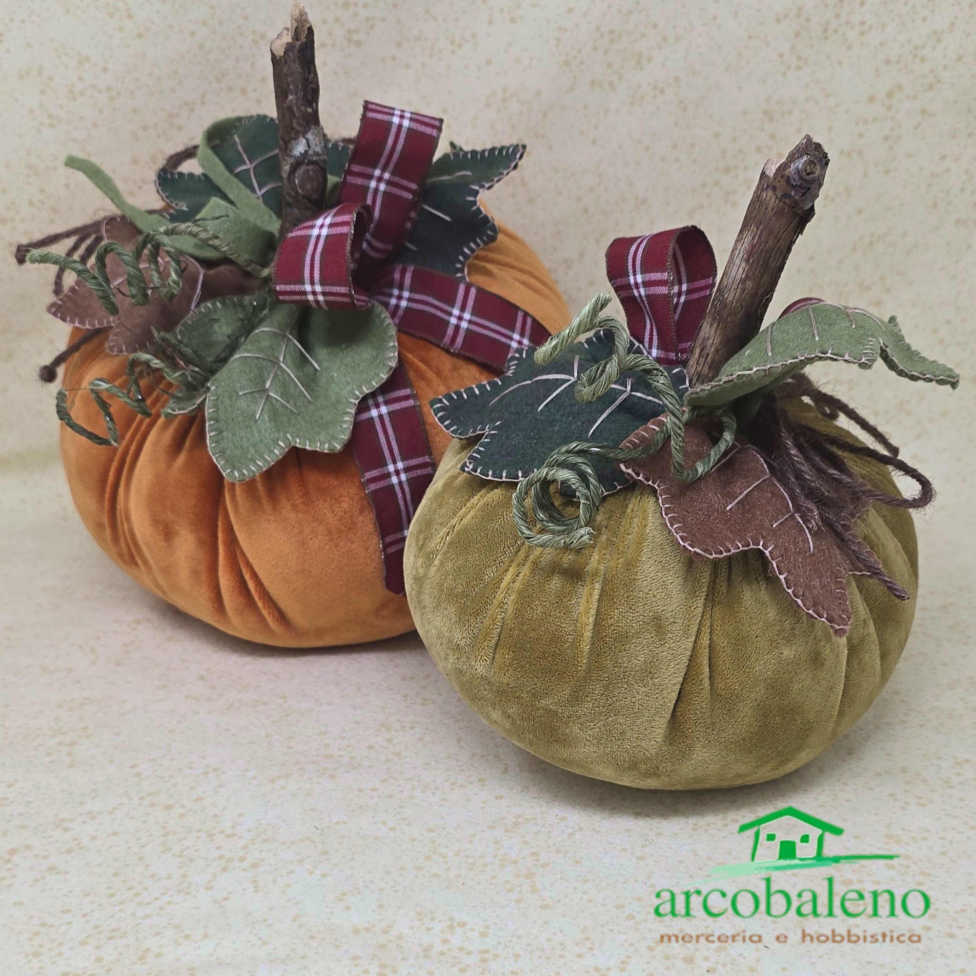ZUCCA IN CINIGLIA